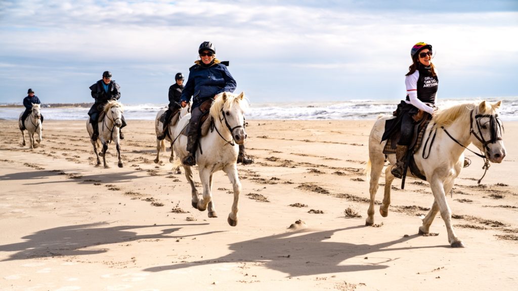 Top 3 tips for an enjoyable horse riding experience