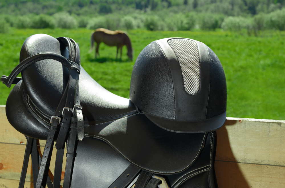 Horse Riding Helmet