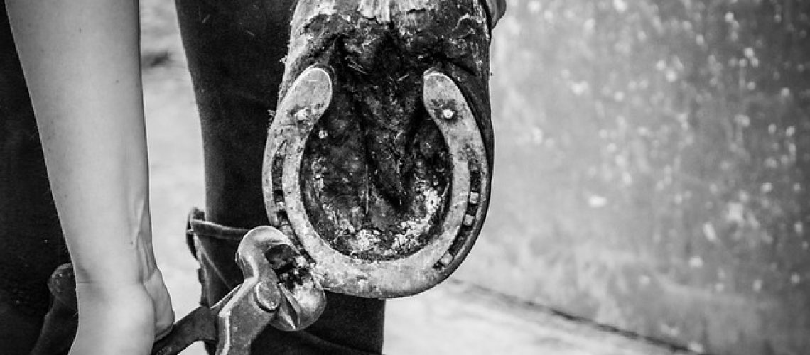 Farrier shoeing a horse