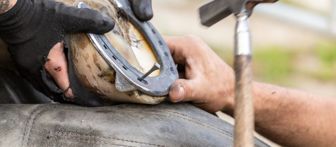Farrier
