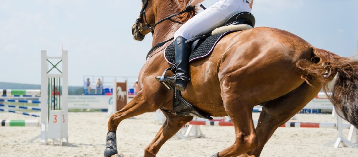Show jumping